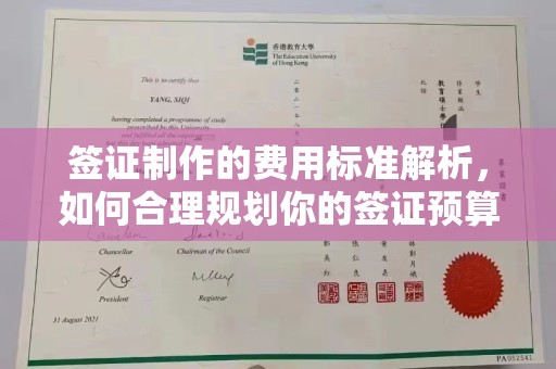 永胜签证制作的费用标准解析，如何合理规划你的签证预算